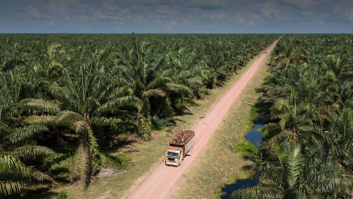 PT Bakrie Sumatera Plantations Tbk